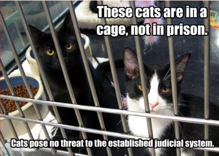 prisoncats